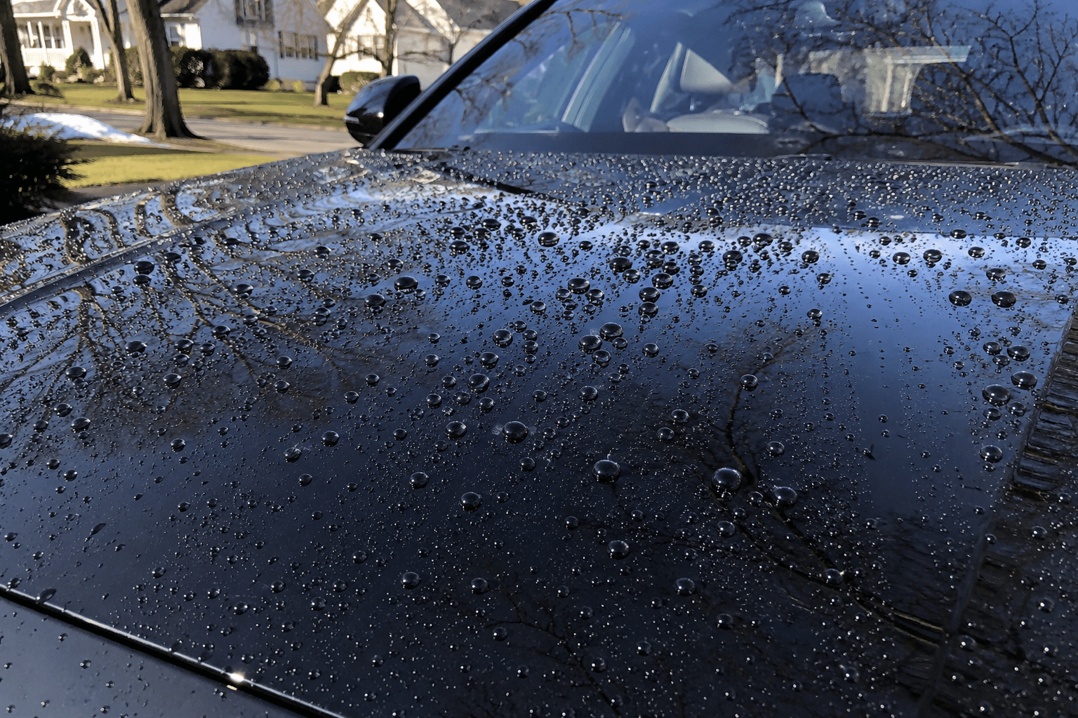 Water beading on a freshly ceramic-coated black sedan in a South Jersey driveway
